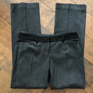 Express Editor Bootcut Pants 2 Short
